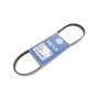 Ремінь генератора Nissan Almera/Primera/Sunny (4PK810)