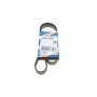 Ремінь генератора Fiat Ducato 2.5D/TD/TDI 94-02/Toyota Rav4 2.0 97-00/Audi A4/A5 12-15 (5PK1090)