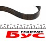 Ремінь генератора Fiat Doblo 1.3D Multijet/1.3JTD/Ford Focus 1.8/2.0 04- (6PK1310)