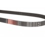 Ремінь генератора Renault Laguna 2.0 95-01/Toyota Auris/Corolla 1.4D 06-14/VW Golf V 3.2 05-08