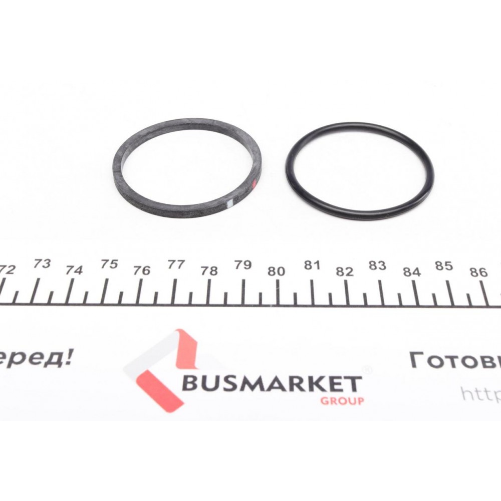 Ремкомплект супорта (заднього) BMW 5 (F10)/6 (F12) 09- (d=44mm) (Trw)