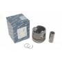 Поршень Citroen C5 III/Peugeot 508 2.2 HDi 10- (85.60mm/+0.60)