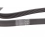 Ремінь генератора Renault Master/Nissan NT400 2.3 dCi 14-/Honda Accord/CR-V 2.4 03-