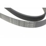 Ремінь генератора Opel Corsa D 1.2/1.4 06-14 (5PK1335)