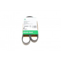 Ремінь генератора VW Polo/Up 11-/Skoda Fabia 14-/Seat Ibiza 1.0/1.6 15- (6PK989)