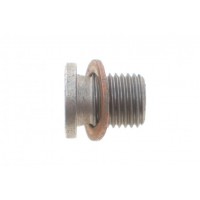 Болт зливу оливи + шайба VW Golf V 05-08/Jetta 2.0 10-17 (M14x1.5x17)