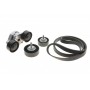 Комплект ременя генератора Land Rover Discovery/Range Rover 2.0D 14-