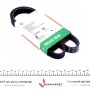Ремінь генератора Renault Master/Opel Movano/Renault Kangoo 1.9dCi/dTi 98-/Trafic 2.0 06-