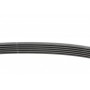 Ремінь генератора Ford Transit Connect/Focus/Fiesta 1.0 EcoBoost 13-