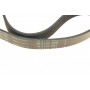 Ремінь генератора Citroen Jumper/Fiat Ducato/Peugeot Boxer 2.0 94- (6PK700)