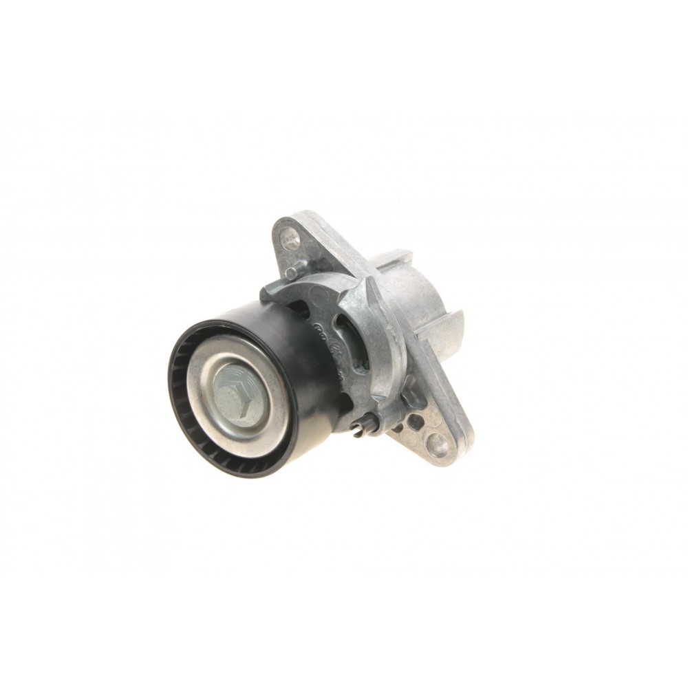 Комплект ременя генератора Renault Megane/Scenic 1.4/1.6 00-09 (5PK1750)