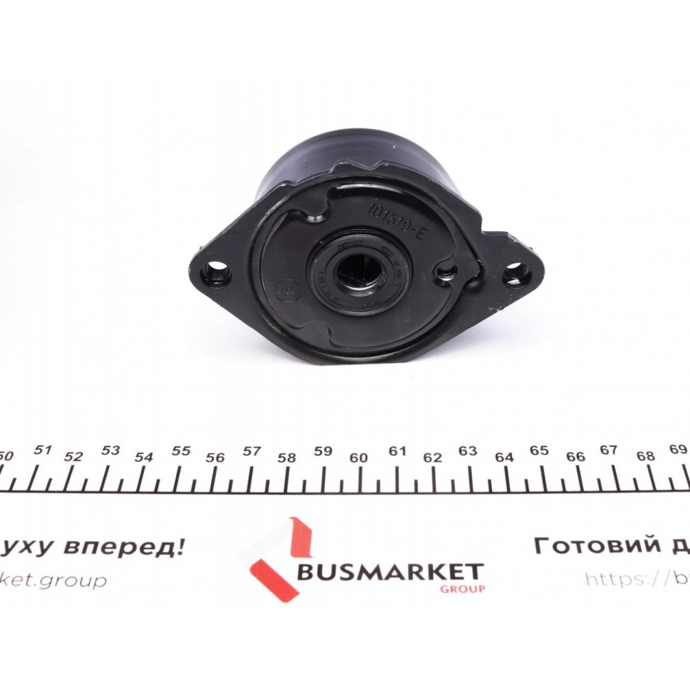 Натяжник ременя генератора BMW 3 (E46) 01-05, M47 D20 (204D4)