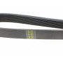 Ремінь генератора Land Rover/Toyota Land Cruiser 120 4.0i/4.6 94-