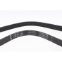 Ремінь генератора Citroen Jumper/Fiat Ducato/Peugeot Boxer 2.0/2.2HDi/JTD 02-