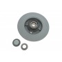 Диск гальмівний (задній) Citroen C3/C4 /Peugeot 207/307 05- (249х9) (+ABS)