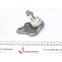 Опора кульова (передня/знизу) Toyota Corolla/Rav 4/Prius 92-06