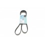 Ремінь генератора Peugeot 206/ Citroen C5/ Xantia/ Xsara/Berlingo 1.4-2.0 96-/ Skoda Fabia 1.2 01-14