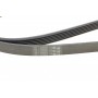 Ремінь генератора Mazda 6 2.3 02-07/CX-7 2.5MZR 09-13/Jaguar XF/XJ 3.0D 09-/Saab 900 II 2.5 93-98