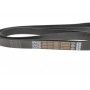 Ремінь генератора VW LT 28-35 2.5 SDI 96-06 (8PK2482)