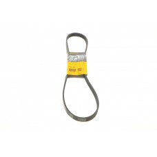 Ремінь генератора Citroen Jumper/Peugeot Boxer 2.0 94- (6PK1095)