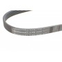 Ремінь генератора Mazda 323/626 1.8-2.0 97-02/Opel Astra G/Vectra B/C 2.0/2.2 00-08