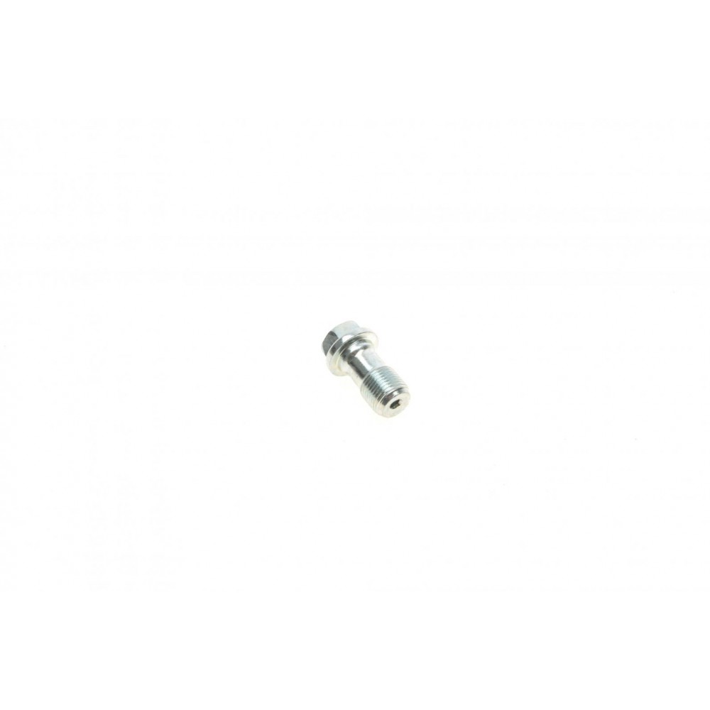 Болт Banjo (банжо) M12x1mm (13x28.9)
