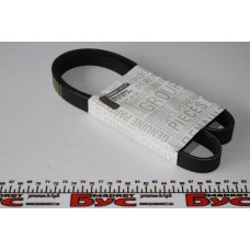 Ремінь генератора Renault Kangoo 1.5 dCi (6PK1200)