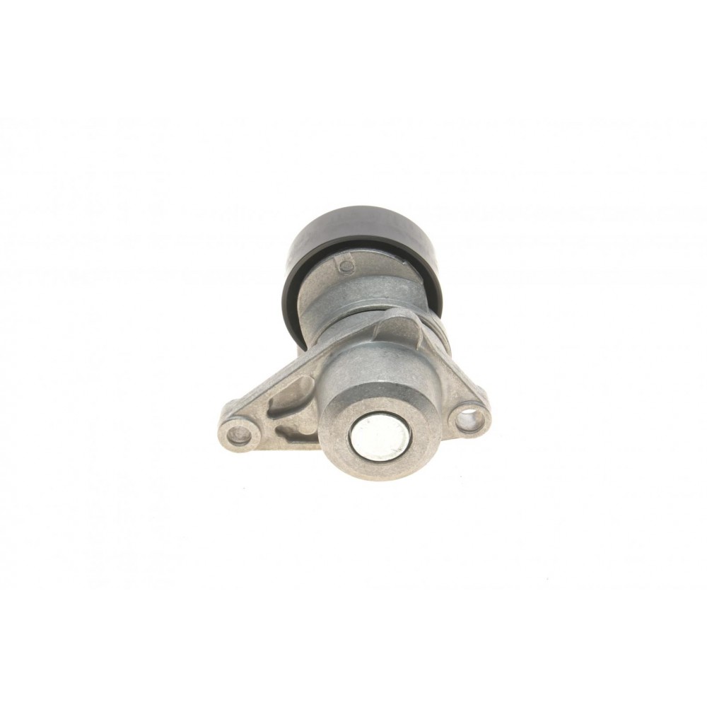 Натяжник ременя генератора Citroen C2/C3/C4/Peugeot 207/307 1.1-1.6 00-