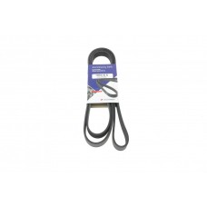Ремінь генератора Ford Transit 2.3 16V 00-06 (RWD)