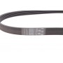 Ремінь генератора Opel Movano/Renault Master 2.5D/2.8DTI 98-01/Megane/Laguna/Scenic 1.4-1.6 03-08