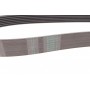 Комплект ременя генератора Renault Kangoo/Megane/Scenic 13-/Dacia Dokker/Duster/Logan 1.2 TCe 12-
