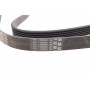 Ремінь генератора BMW 3 (E90)/5 (E60)/7 (E65/E66/E67)/X5 (E70) 04-11