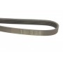 Ремінь генератора Hyundai i30 1.4/1.6 07-12 (6PK1255)