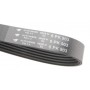 Ремінь генератора VW Caddy III/Fiat Ducato 1.6/2.5TDI 94-02 (6PK903)