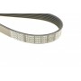 Ремінь генератора VW T4/Citroen Bipper 1.4HDI/2.4D/2.5 96-