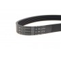 Ремінь генератора VW Passat 2.3 96-05 (6PK2372)