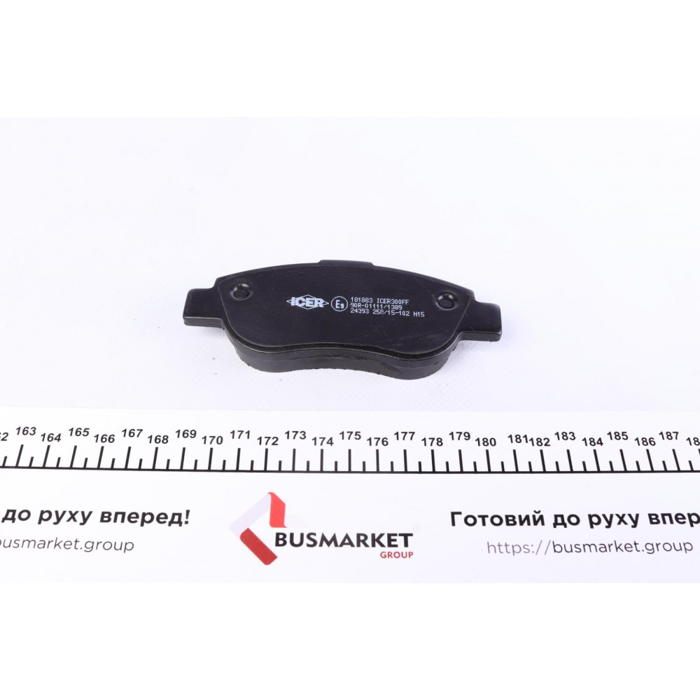 Колодки гальмівні (передні) Renault Megane II 03-/Scenic II 03-08/Fiat Palio 97-/Siena/Albea 01-12