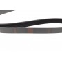 Ремінь генератора Fiat Punto/Opel Combo 1.3 CDTI 05- (6PK1318)
