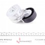 Натяжник ременя генератора Fiat Scudo/Peugeot Boxer/Partner 2.0-2.2HDI 99-