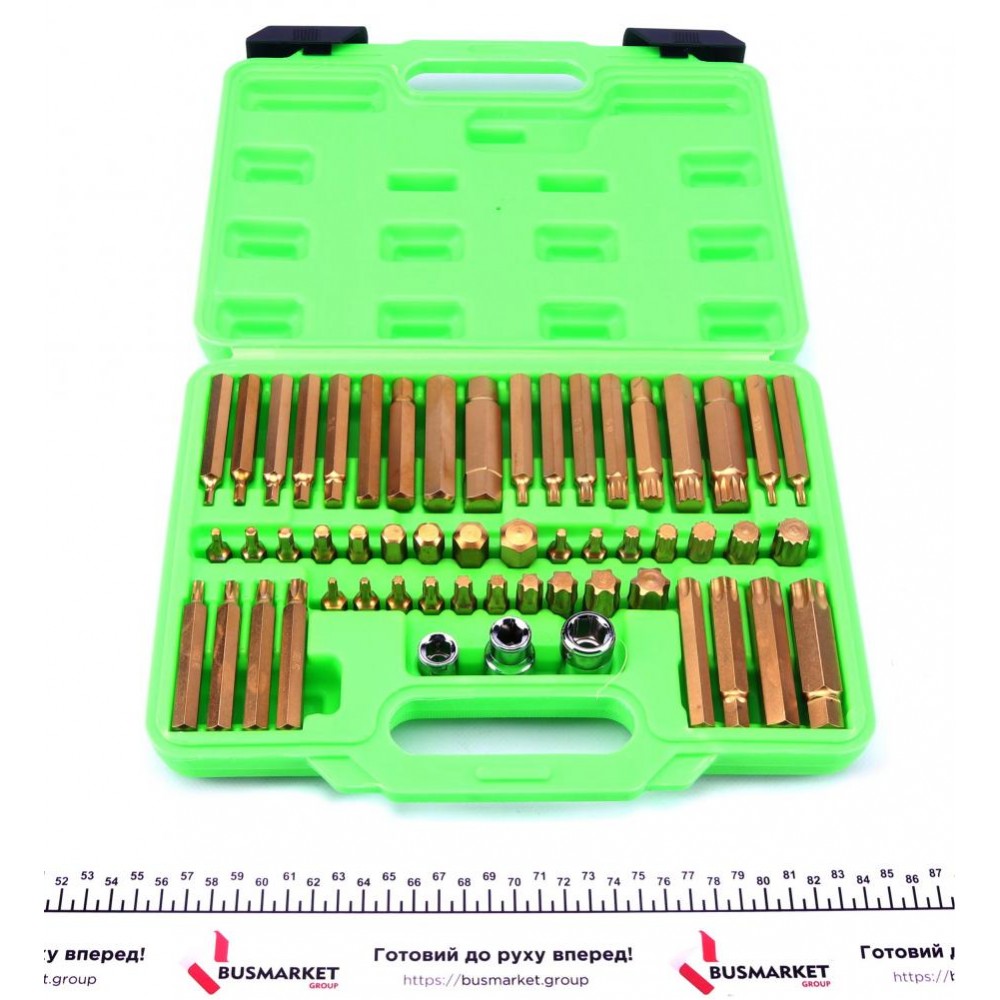 Набір біт (для важкого режиму) (6/12-гранні/Torx) (55шт)