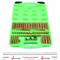 Набір біт (для важкого режиму) (6/12-гранні/Torx) (55шт)