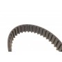 Комплект ГРМ Citroen Nemo/C1/C2/C3/Xsara/Peugeot 107/1007/206/307/Bipper 1.4HDI 08- (25x144z)