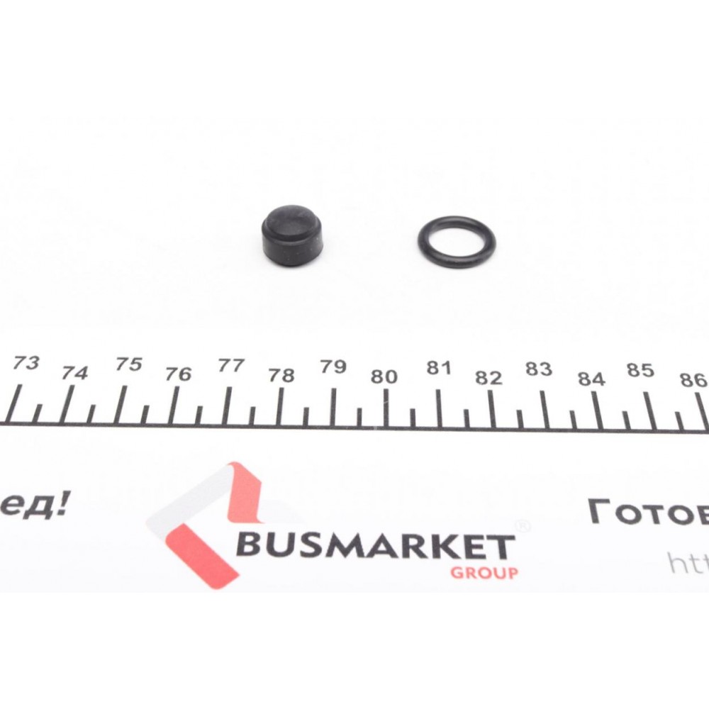 Ремкомплект супорта (заднього) BMW 5 (F10)/6 (F12) 09- (d=44mm) (Trw)