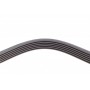 Ремінь генератора VW T4 2.5 90-03/Ford Fiesta/Mondeo 1.8/2.0 00-08/Jeep Cherokee 3.7 01-08