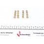 Прокладка піддону VW Touareg /Audi Q7 3.0TDI/4.2 FSI 02-10
