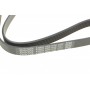 Ремінь генератора Citroen Jumper/Peugeot Boxer 2.0 94-/VW Caddy 1.4 04-