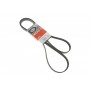 Ремінь генератора Jeep Wrangler 4.0 i 96-07/Subaru Forester 2.0 13-
