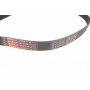 Ремінь генератора Citroen C3/C4/Peugeot 307 1.4-1.6HDi 02-