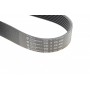 Ремінь генератора Land Rover Discovery 4.4 04-09/Range Rover 4.4 05-13 (8PK850)