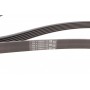 Ремінь генератора VW Golf IV/Passat 1.4/1.6FSI 03-16/Toyota Auris/Avensis 1.4-1.8 03-12